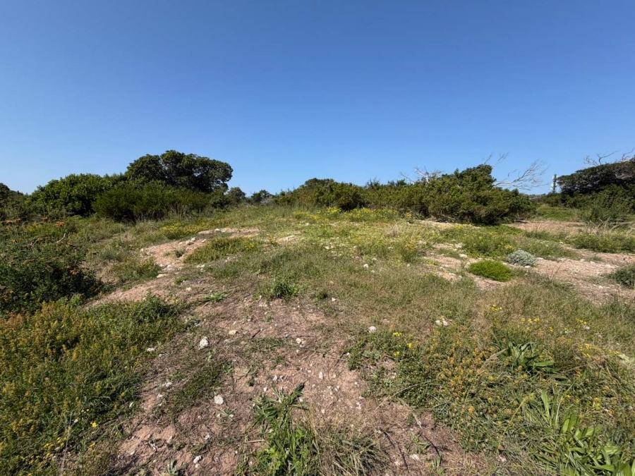 0 Bedroom Property for Sale in Reebok Western Cape